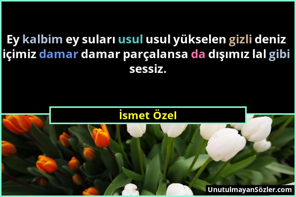 İsmet Özel - Ey kalbim ey suları usul usul yükselen gizli deniz içimiz damar damar parçalansa da dışımız lal gibi sessiz....