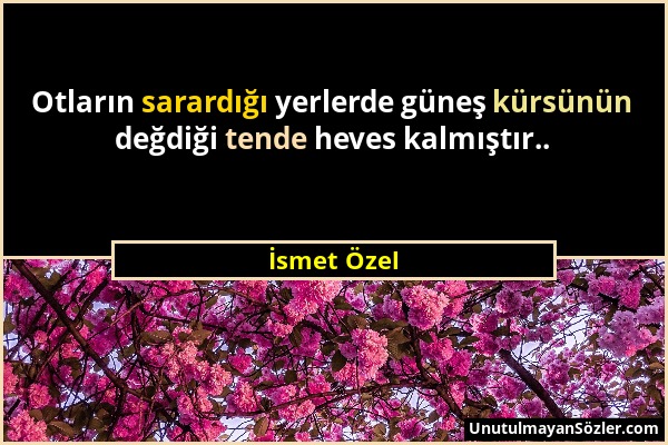 İsmet Özel - Otların sarardığı yerlerde güneş kürsünün değdiği tende heves kalmıştır.....