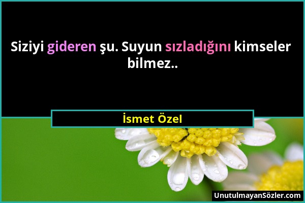 İsmet Özel - Siziyi gideren şu. Suyun sızladığını kimseler bilmez.....