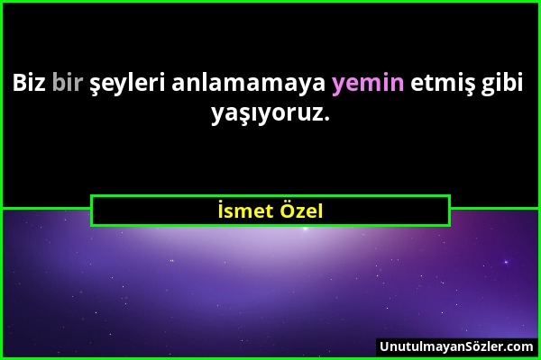 İsmet Özel - Biz bir şeyleri anlamamaya yemin etmiş gibi yaşıyoruz....