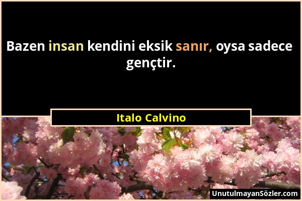 Italo Calvino - Bazen insan kendini eksik sanır, oysa sadece gençtir....