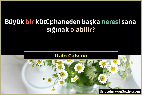 Italo Calvino - Büyük bir kütüphaneden başka neresi sana sığınak olabilir?...