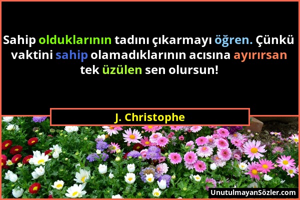 J. Christophe - Sahip olduklarının tadını çıkarmayı öğren. Çünkü vaktini sahip olamadıklarının acısına ayırırsan tek üzülen sen olursun!...