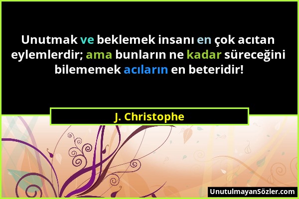 J. Christophe - Unutmak ve beklemek insanı en çok acıtan eylemlerdir; ama bunların ne kadar süreceğini bilememek acıların en beteridir!...