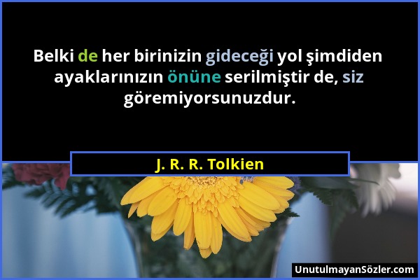 J. R. R. Tolkien - Belki de her birinizin gideceği yol şimdiden ayaklarınızın önüne serilmiştir de, siz göremiyorsunuzdur....