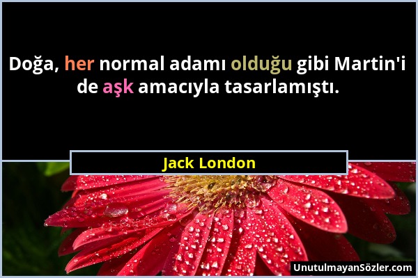 Jack London - Doğa, her normal adamı olduğu gibi Martin'i de aşk amacıyla tasarlamıştı....