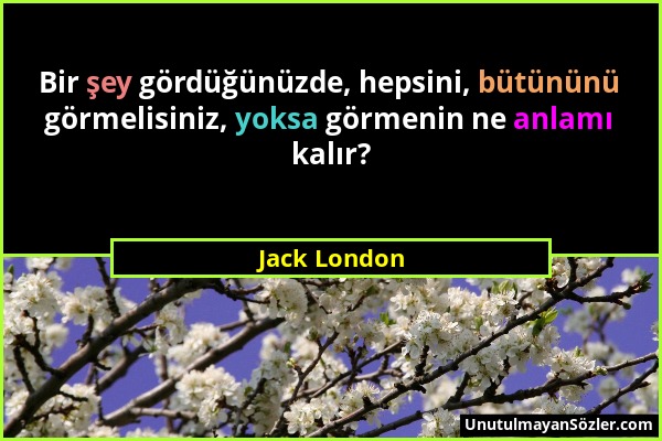 Jack London - Bir şey gördüğünüzde, hepsini, bütününü görmelisiniz, yoksa görmenin ne anlamı kalır?...