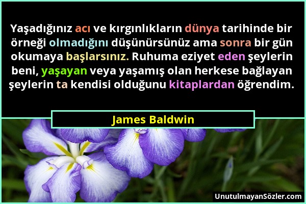 James Baldwin - Yaşadığınız acı ve kırgınlıkların dünya tarihinde bir örneği olmadığını düşünürsünüz ama sonra bir gün okumaya başlarsınız. Ruhuma ezi...
