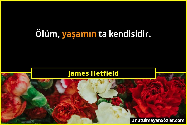 James Hetfield - Ölüm, yaşamın ta kendisidir....