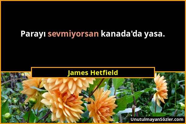 James Hetfield - Parayı sevmiyorsan kanada'da yasa....