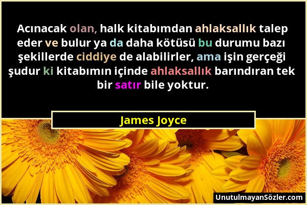 James Joyce - Acınacak olan, halk kitabımdan ahlaksallık talep eder ve bulur ya da daha kötüsü bu durumu bazı şekillerde ciddiye de alabilirler, ama i...