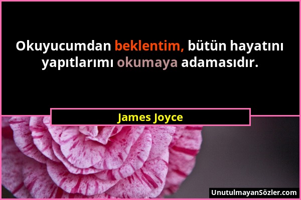 James Joyce - Okuyucumdan beklentim, bütün hayatını yapıtlarımı okumaya adamasıdır....