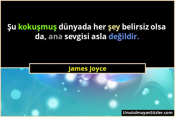 James Joyce - Şu kokuşmuş dünyada her şey belirsiz olsa da, ana sevgisi asla değildir....