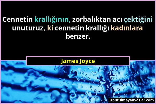 James Joyce - Cennetin krallığının, zorbalıktan acı çektiğini unuturuz, ki cennetin krallığı kadınlara benzer....