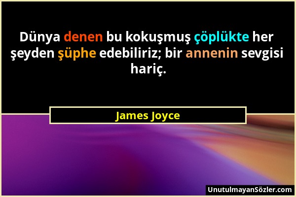 James Joyce - Dünya denen bu kokuşmuş çöplükte her şeyden şüphe edebiliriz; bir annenin sevgisi hariç....