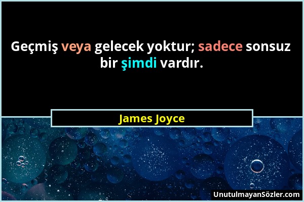 James Joyce - Geçmiş veya gelecek yoktur; sadece sonsuz bir şimdi vardır....