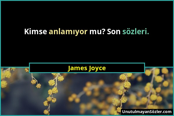 James Joyce - Kimse anlamıyor mu? Son sözleri....