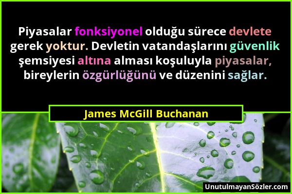 James McGill Buchanan - Piyasalar fonksiyonel olduğu sürece devlete gerek yoktur. Devletin vatandaşlarını güvenlik şemsiyesi altına alması koşuluyla p...