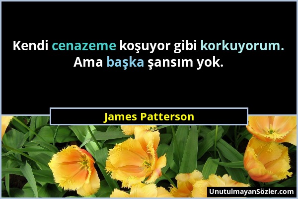 James Patterson - Kendi cenazeme koşuyor gibi korkuyorum. Ama başka şansım yok....