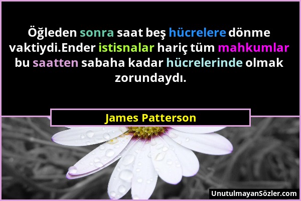 James Patterson - Öğleden sonra saat beş hücrelere dönme vaktiydi.Ender istisnalar hariç tüm mahkumlar bu saatten sabaha kadar hücrelerinde olmak zoru...