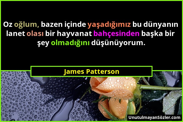 James Patterson - Oz oğlum, bazen içinde yaşadığımız bu dünyanın lanet olası bir hayvanat bahçesinden başka bir şey olmadığını düşünüyorum....