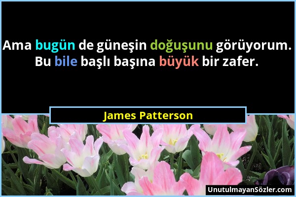 James Patterson - Ama bugün de güneşin doğuşunu görüyorum. Bu bile başlı başına büyük bir zafer....