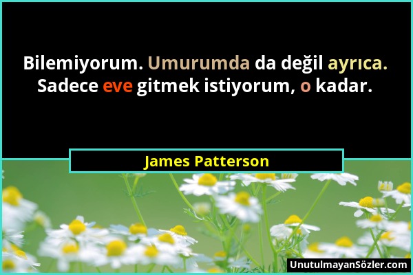 James Patterson - Bilemiyorum. Umurumda da değil ayrıca. Sadece eve gitmek istiyorum, o kadar....