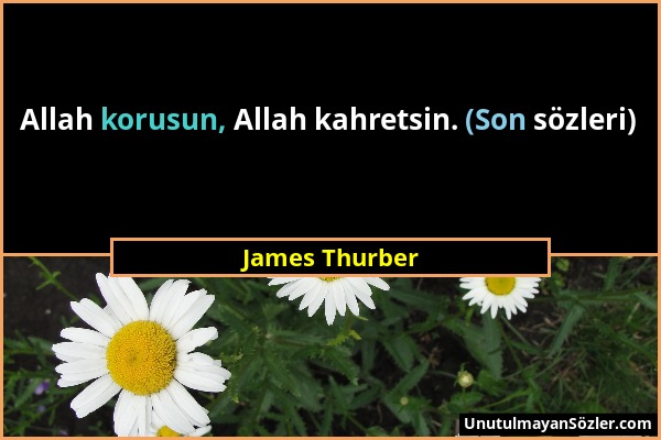 James Thurber - Allah korusun, Allah kahretsin. (Son sözleri)...