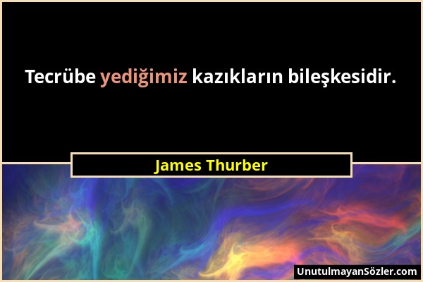James Thurber - Tecrübe yediğimiz kazıkların bileşkesidir....