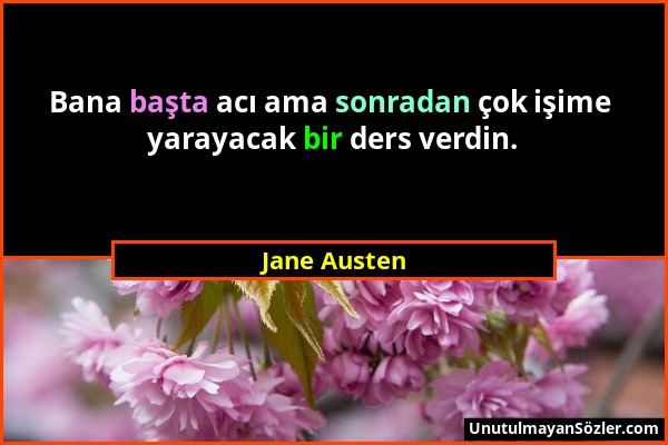 Jane Austen - Bana başta acı ama sonradan çok işime yarayacak bir ders verdin....