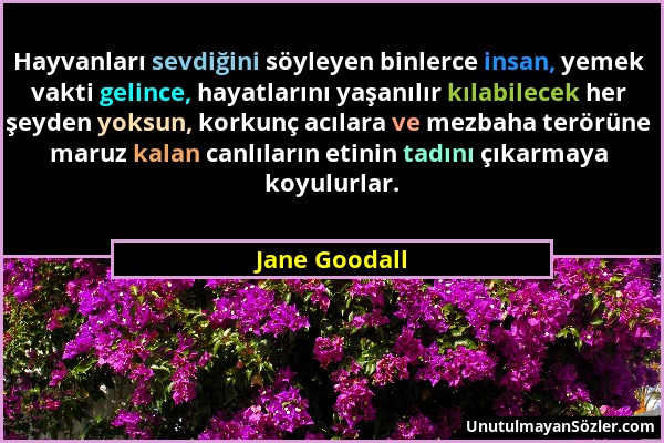 Jane Goodall - Hayvanları sevdiğini söyleyen binlerce insan, yemek vakti gelince, hayatlarını yaşanılır kılabilecek her şeyden yoksun, korkunç acılara...