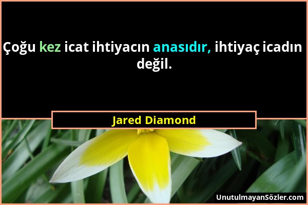 Jared Diamond - Çoğu kez icat ihtiyacın anasıdır, ihtiyaç icadın değil....