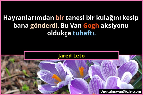 Jared Leto - Hayranlarımdan bir tanesi bir kulağını kesip bana gönderdi. Bu Van Gogh aksiyonu oldukça tuhaftı....