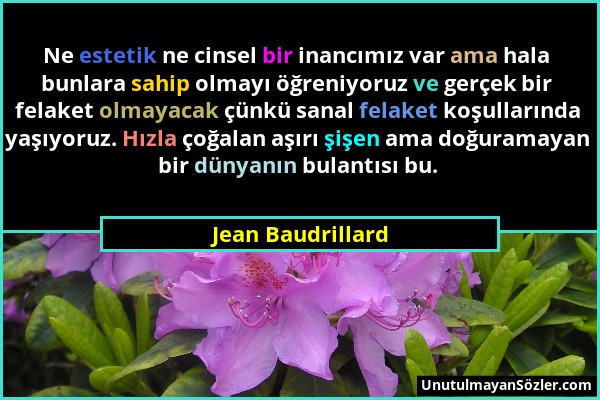 Jean Baudrillard - Ne estetik ne cinsel bir inancımız var ama hala bunlara sahip olmayı öğreniyoruz ve gerçek bir felaket olmayacak çünkü sanal felake...