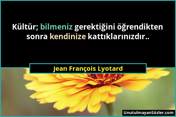 Jean François Lyotard - Kültür; bilmeniz gerektiğini öğrendikten sonra kendinize kattıklarınızdır.....