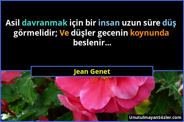 Jean Genet - Asil davranmak için bir insan uzun süre düş görmelidir; Ve düşler gecenin koynunda beslenir......