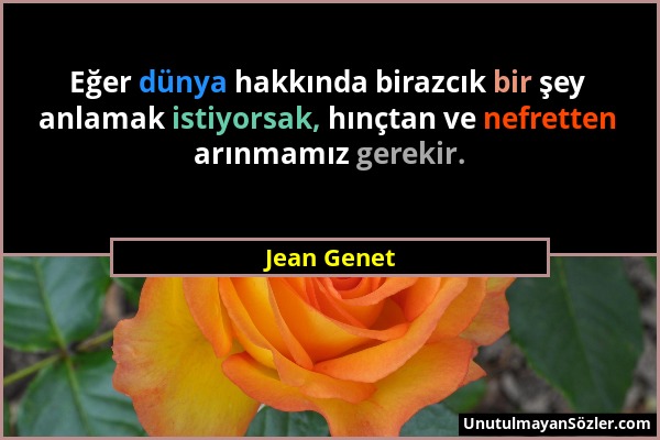 Jean Genet - Eğer dünya hakkında birazcık bir şey anlamak istiyorsak, hınçtan ve nefretten arınmamız gerekir....