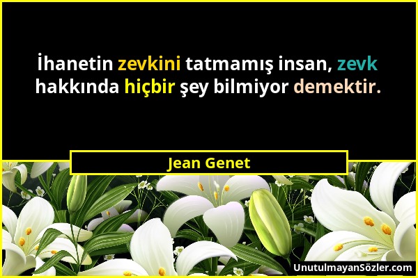 Jean Genet - İhanetin zevkini tatmamış insan, zevk hakkında hiçbir şey bilmiyor demektir....