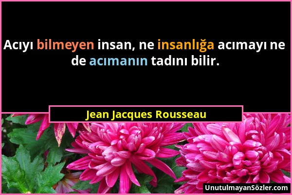 Jean Jacques Rousseau - Acıyı bilmeyen insan, ne insanlığa acımayı ne de acımanın tadını bilir....