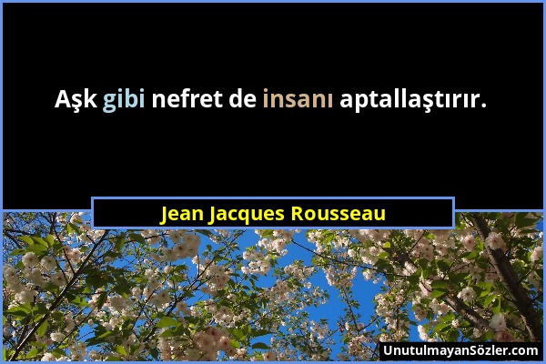 Jean Jacques Rousseau - Aşk gibi nefret de insanı aptallaştırır....