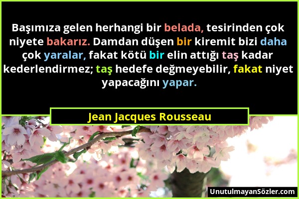 Jean Jacques Rousseau - Başımıza gelen herhangi bir belada, tesirinden çok niyete bakarız. Damdan düşen bir kiremit bizi daha çok yaralar, fakat kötü...