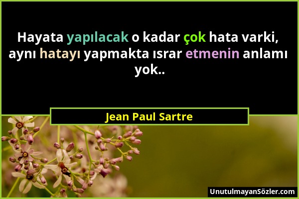 Jean Paul Sartre - Hayata yapılacak o kadar çok hata varki, aynı hatayı yapmakta ısrar etmenin anlamı yok.....