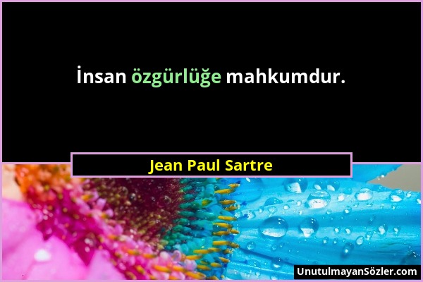 Jean Paul Sartre - İnsan özgürlüğe mahkumdur....
