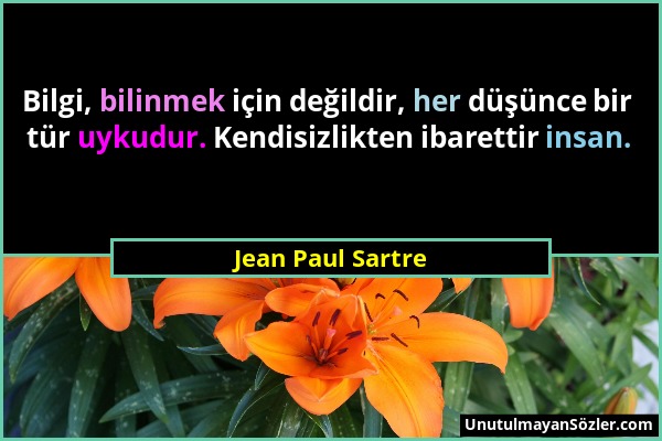 Jean Paul Sartre - Bilgi, bilinmek için değildir, her düşünce bir tür uykudur. Kendisizlikten ibarettir insan....