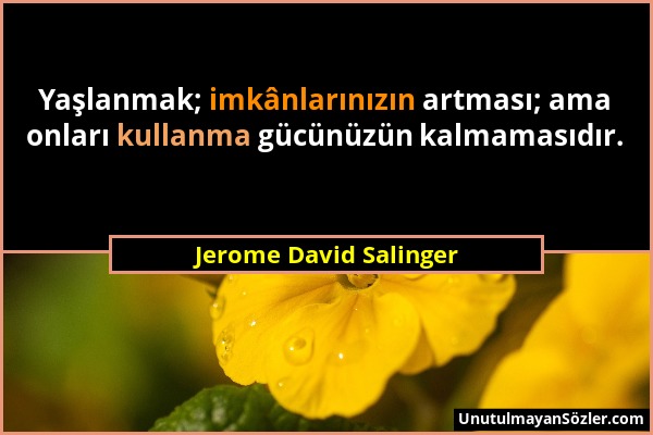 Jerome David Salinger - Yaşlanmak; imkânlarınızın artması; ama onları kullanma gücünüzün kalmamasıdır....
