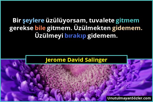 Jerome David Salinger - Bir şeylere üzülüyorsam, tuvalete gitmem gerekse bile gitmem. Üzülmekten gidemem. Üzülmeyi bırakıp gidemem....