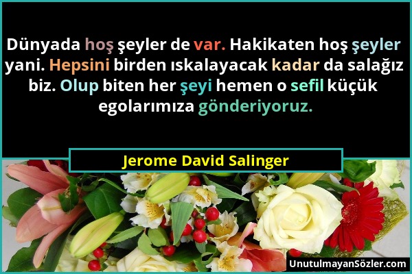 Jerome David Salinger - Dünyada hoş şeyler de var. Hakikaten hoş şeyler yani. Hepsini birden ıskalayacak kadar da salağız biz. Olup biten her şeyi hem...