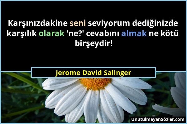 Jerome David Salinger - Karşınızdakine seni seviyorum dediğinizde karşılık olarak 'ne?' cevabını almak ne kötü birşeydir!...