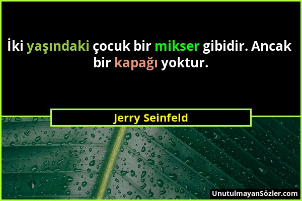 Jerry Seinfeld - İki yaşındaki çocuk bir mikser gibidir. Ancak bir kapağı yoktur....