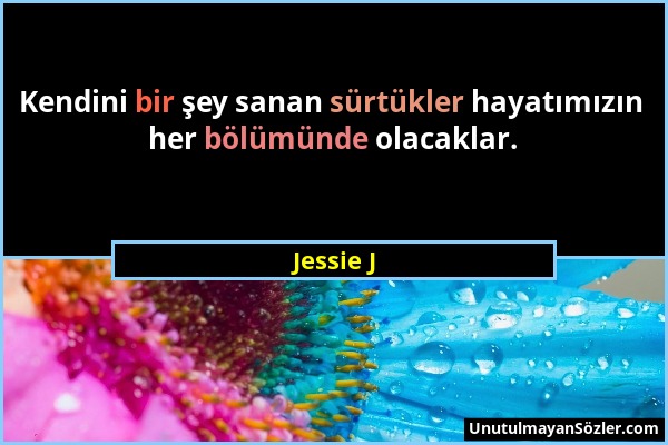 Jessie J - Kendini bir şey sanan sürtükler hayatımızın her bölümünde olacaklar....